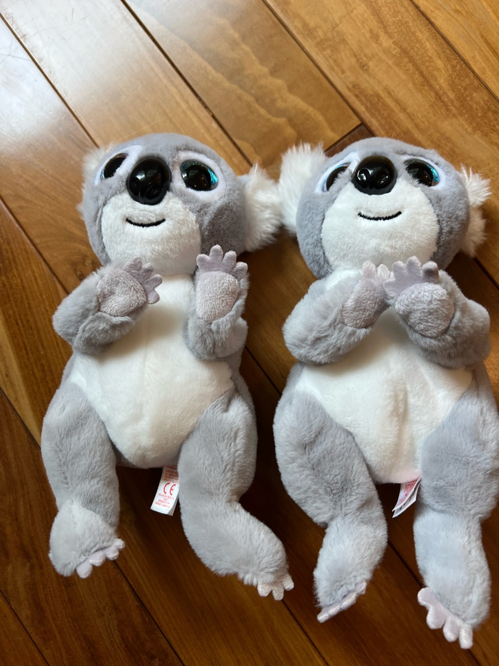 TY brand KOALA bears plush